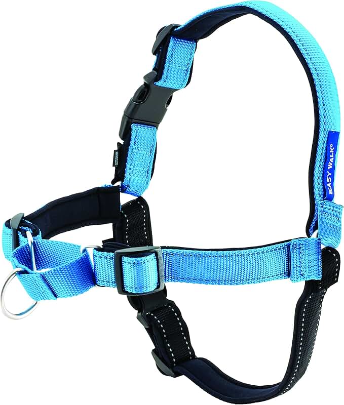 Amazon.co.uk dog halters