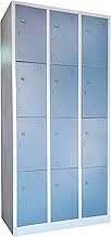 Laxmi KAPAT Metal 12 Door Staff Locker Storage Cabinet Cupboard with Staple Locking System, Used at Factory, Office, Hotel, School & Gym, Powder Coated (75 X 36 X 19 Inch, Light & Dark Grey Color)