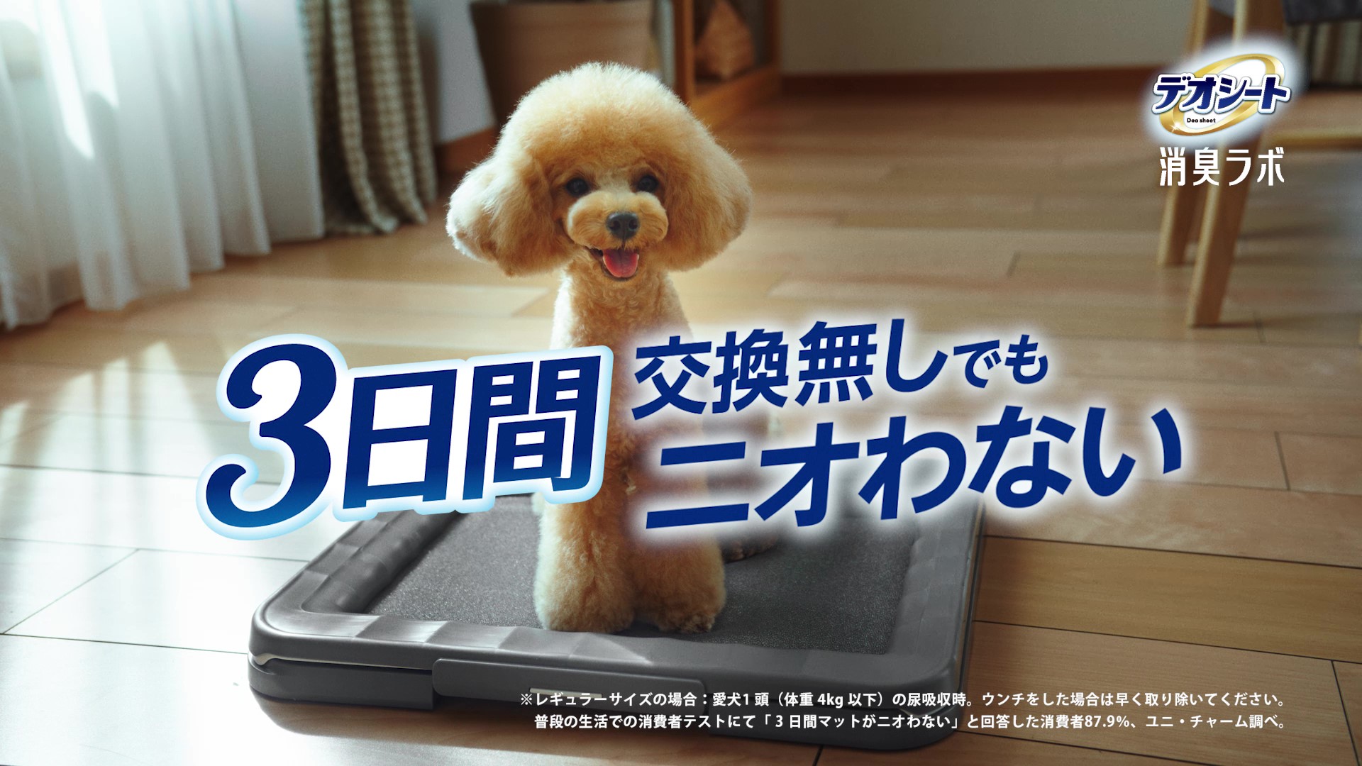 Amazon.co.jp: デオシート消臭ラボ 抗菌ドライフィルター ワイド