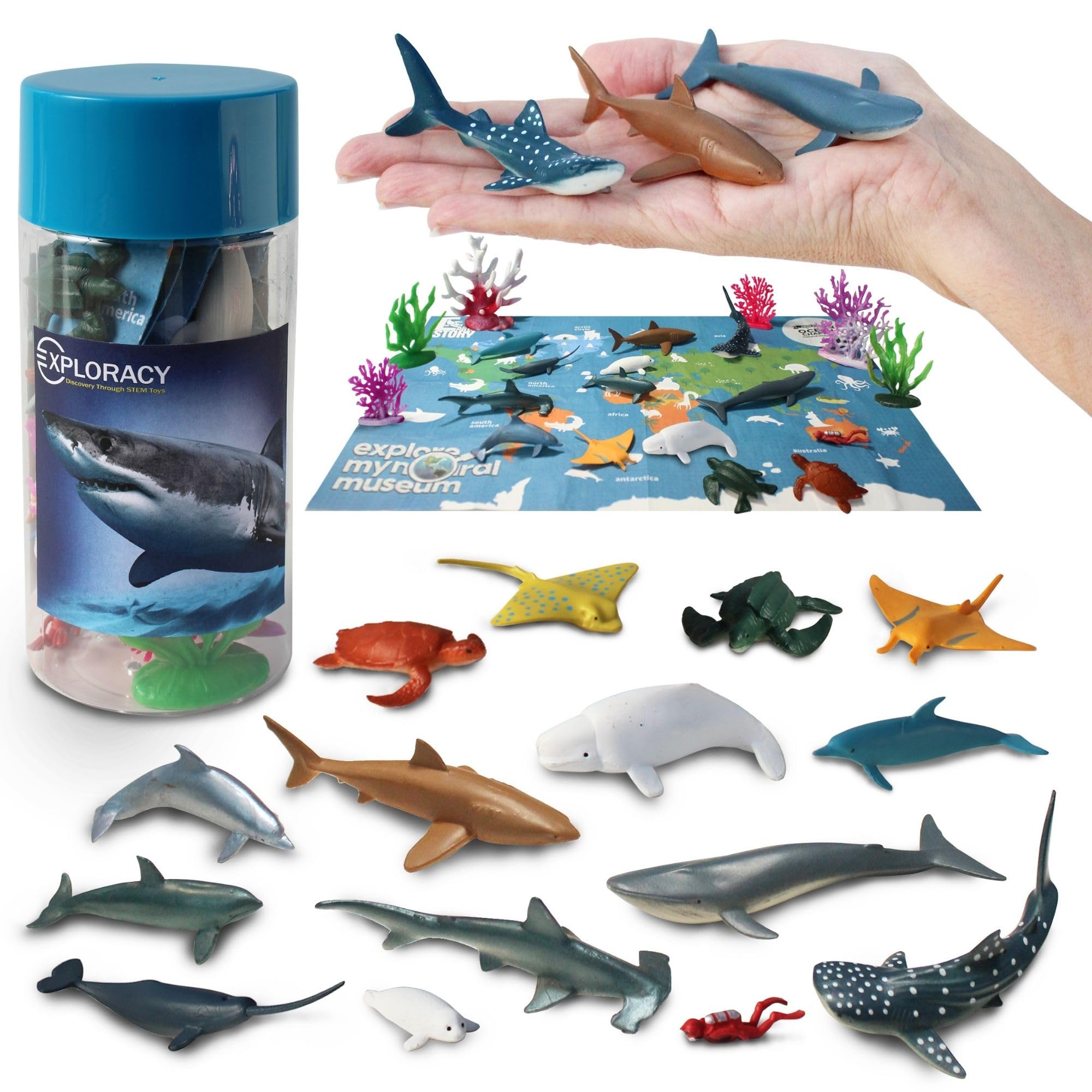 Amazon.com: EXPLORACY 15pcs Mini Sea Animals Toys for Kids