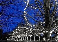 Vista 7 de Novelty Lights Guirnalda de luces LED de Navidad de 50 pies, 100 luces LED de color blanco puro, espacio de 6 pulgadas en cable marrón, luces