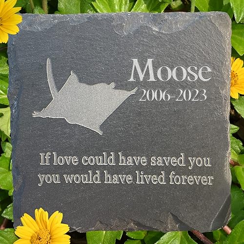 Miniatura 10 de Regalo personalizado de piedra conmemorativa para mascotas, marcador de tumba de cabra - lápida de condolencia de mascotas - lápida de jardín