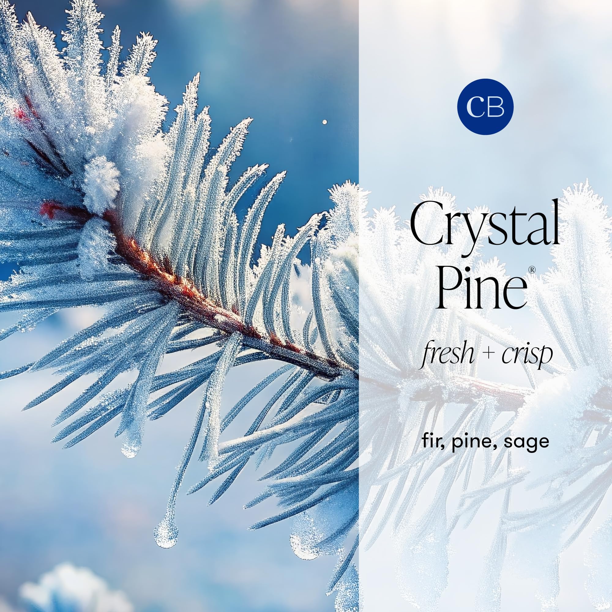 Capri Blue Vela perfumada de pino de cristal – Pattern Play Signature Holiday Candle – Vela de mezcla de cera de soja de lujo – Velas de larga duración – Vela grande con hasta 85 horas de tiempo de