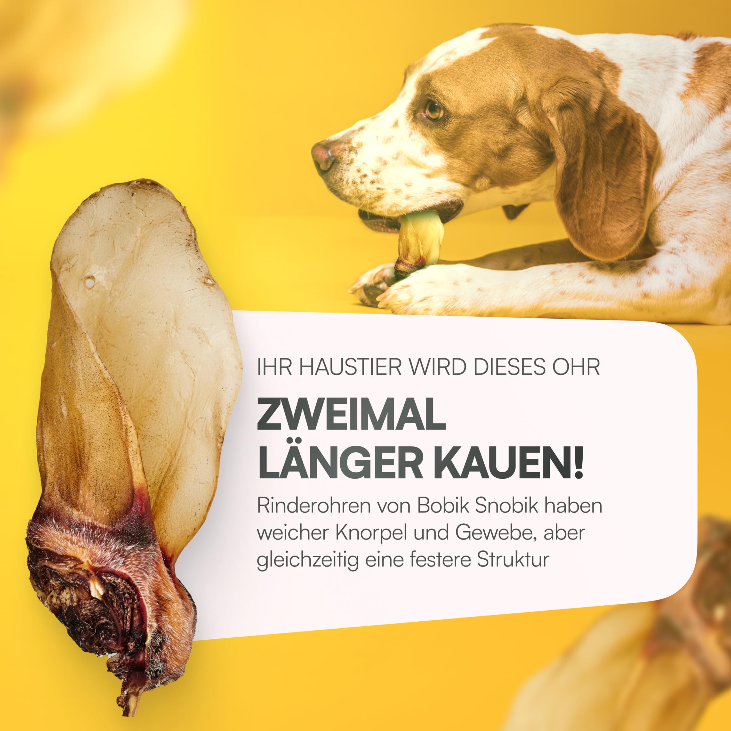 Snacks Naturales & premios para Mascotas – Oreja de Vaca XXL sin aditivos, Alto en proteína, 500 g