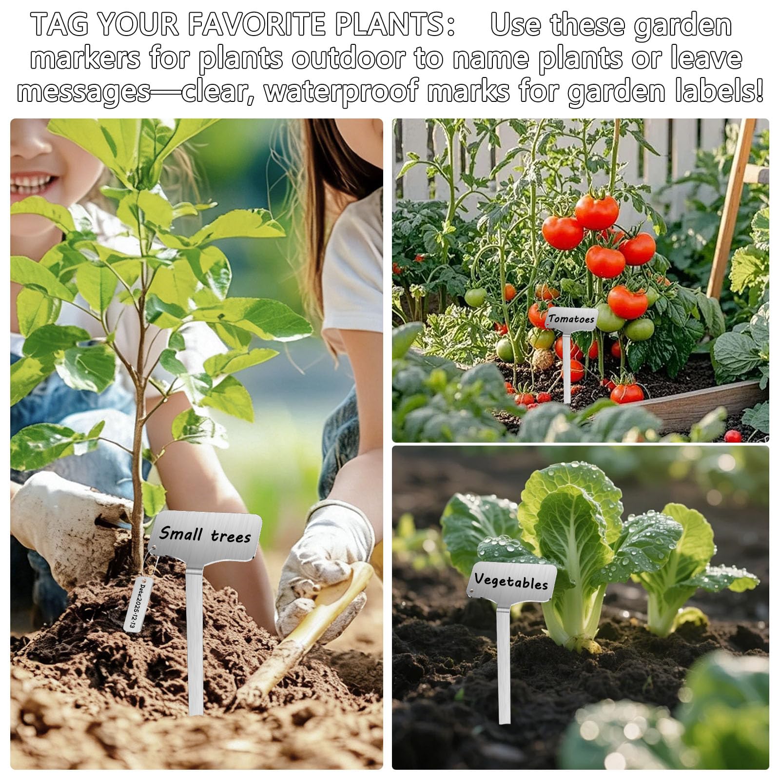 Marqueurs de plantes en acier inoxydable 304, 20 piquets en métal étanches avec 20 boucles d'étiquettes et un marqueur, marqueurs de jardin de 32,4 cm pour identification des plantes