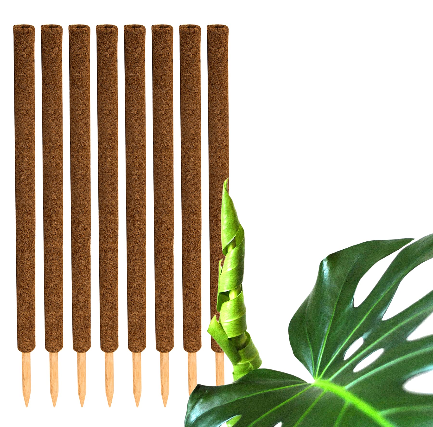 Lot de 8 tuteurs de fleurs en coco - 110 cm - Pour décoration - En fibre de coco naturelle - Extensible