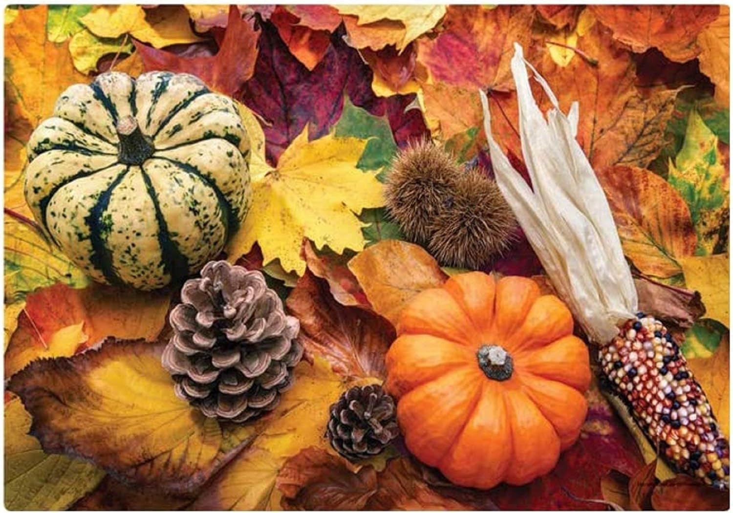 Autumn Days Paper Placemats - 9.75in. X 14in. - Pumpkins Design - 75 Pack