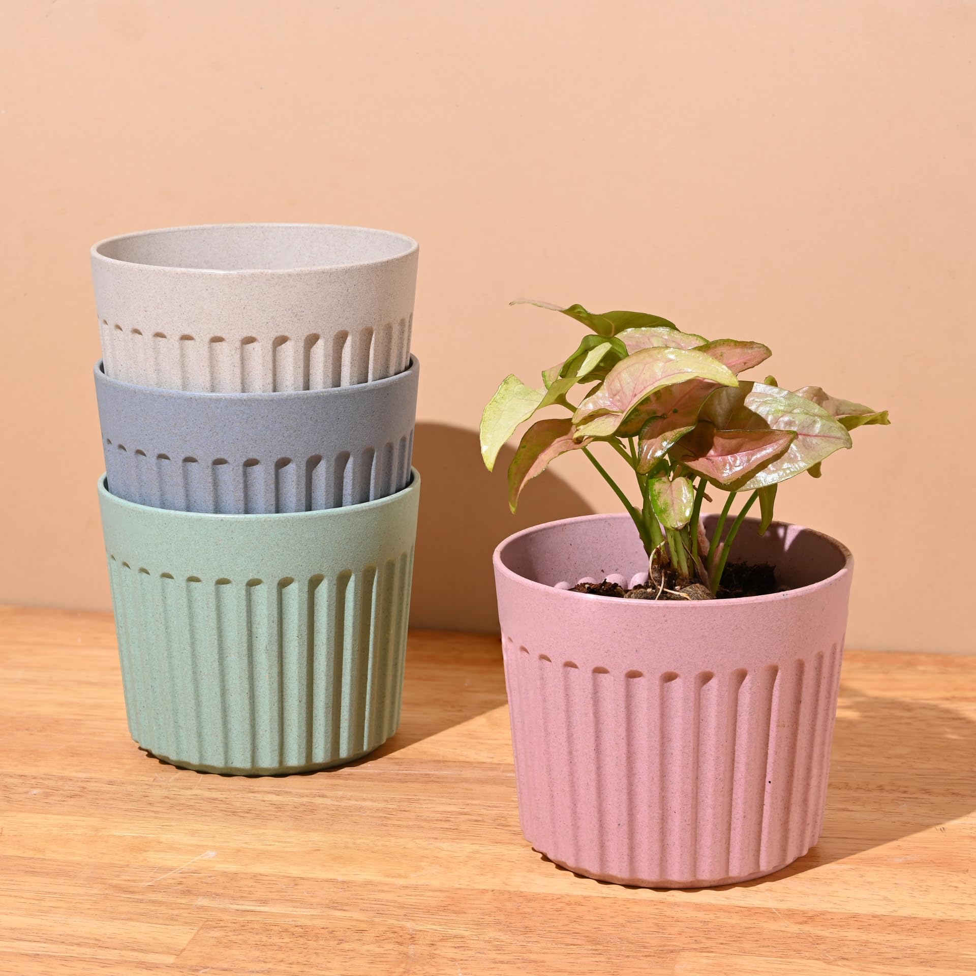 Eha Earth Friendly Romano 5 inch Planters for Home Décor | Set of 4 |Plant Pot Made with Bamboo Fibers | UV Protected Pots & Planters | Flower Pot for Living Room | Multicolor-image-41