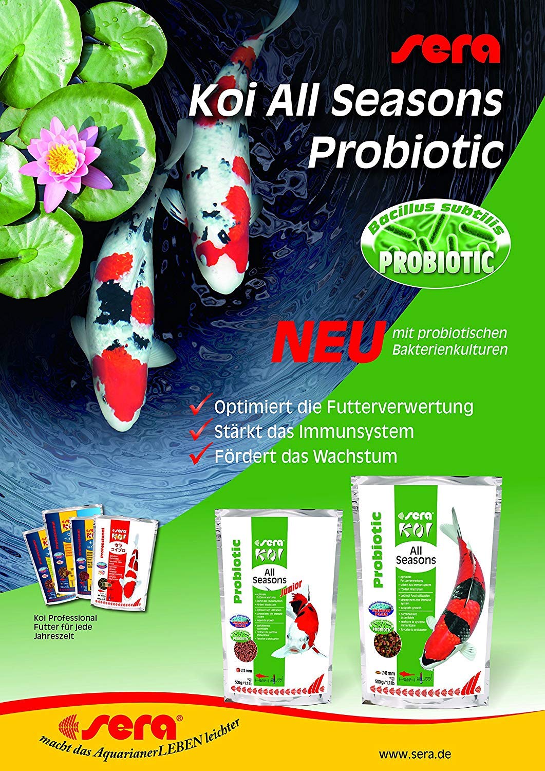 Sera Koi All Seasons Probiotic - Innovador alimento Especial con probióticos (estabilizador homologado de la Flora intestinal «Bacillus subtilis») para Peces Koi a Partir de 15 cm