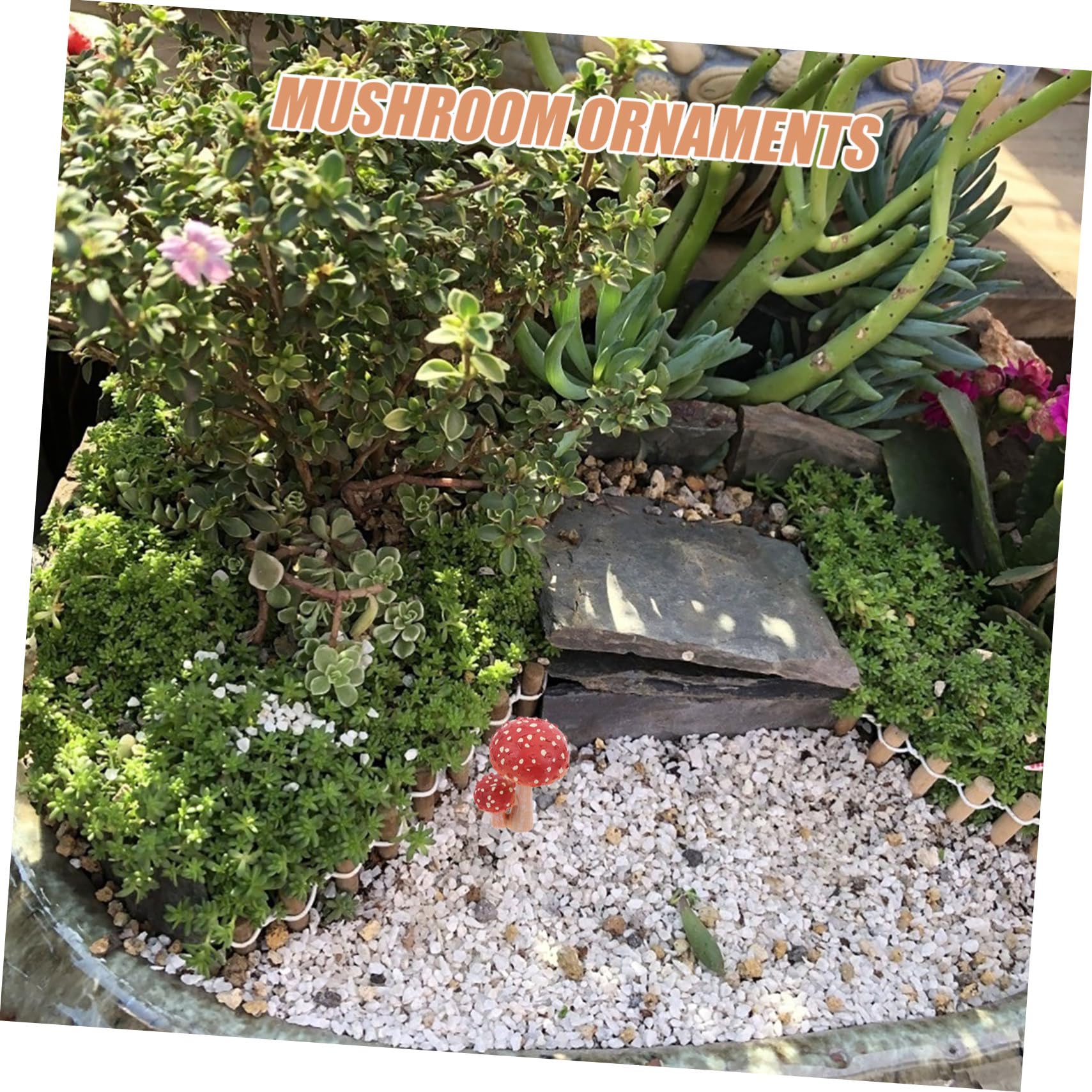 Kisangel 4 Pièces Champignon Bonsaï Ornements Terrarium Décor Pots De Plantes Décor Bonsaï Champignon Miniature s Figurines Mousse Paysage Ornements Fée Jardin