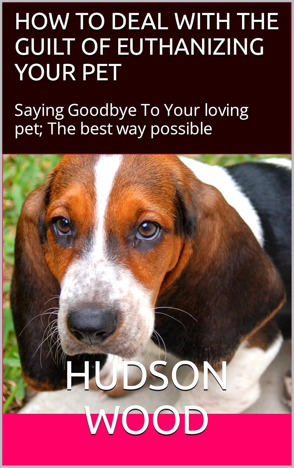 HOW TO DEAL WITH THE GUILT OF EUTHANIZING YOUR PET Saying Goodbye To