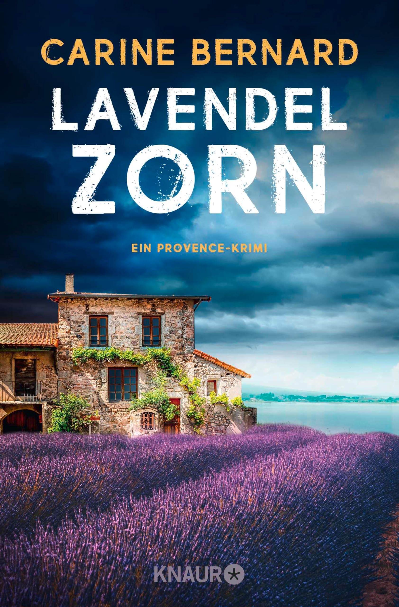 Kindle eBooks ab 0,99€