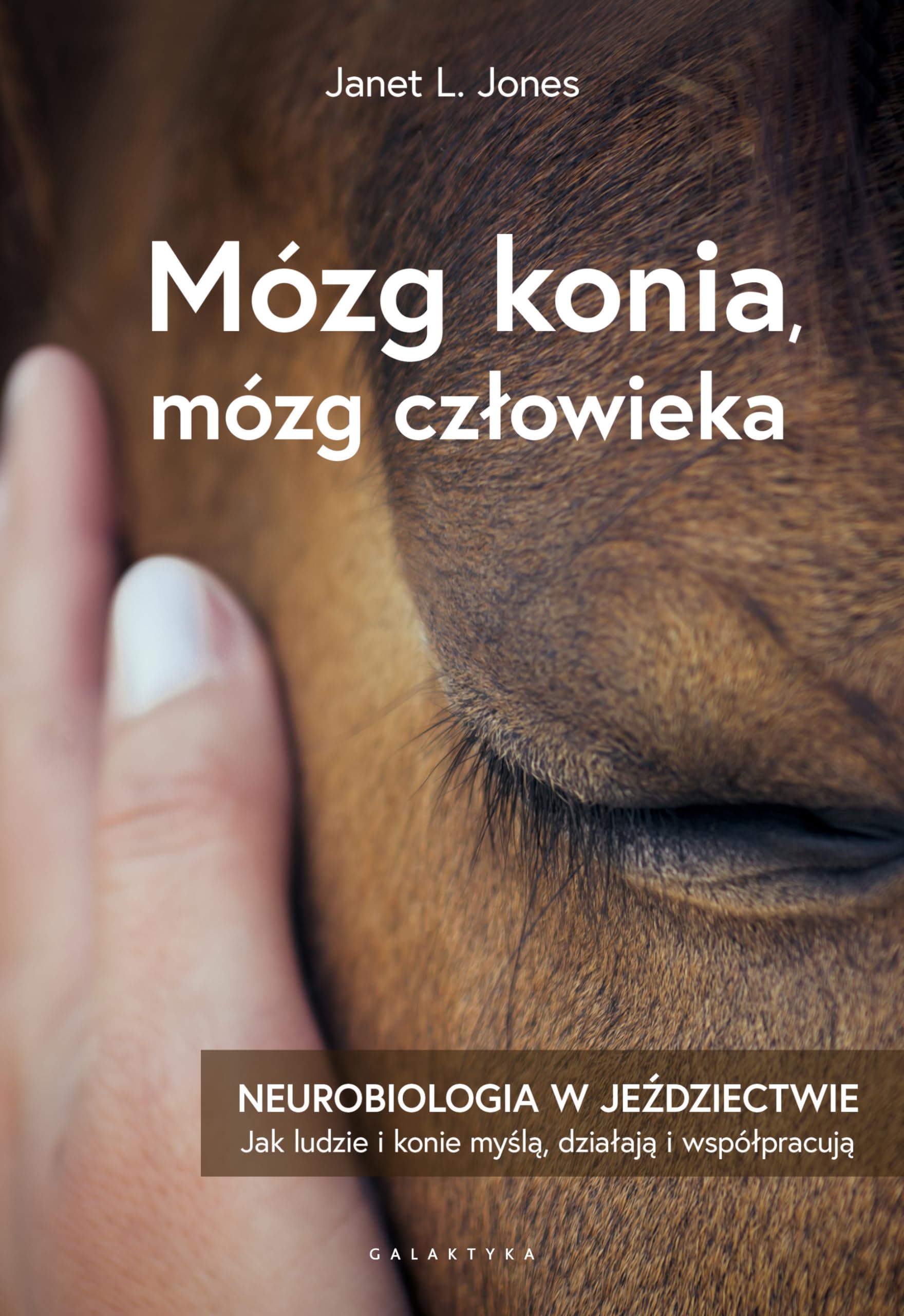 MÓZG KONIA, MÓZG CZŁOWIEKA: Neurobiologia w jeździectwie