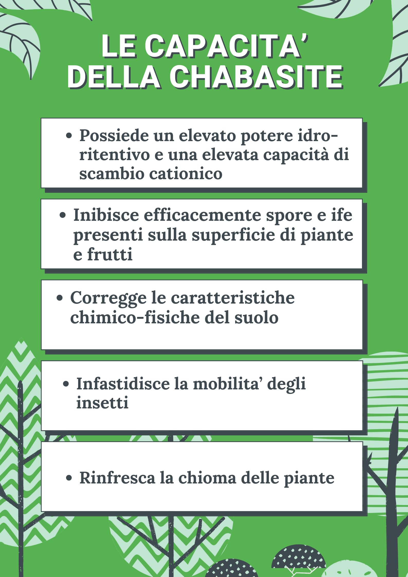Bioki Zeolite Cabasite Naturale per Agricoltura Bio, 8 kg