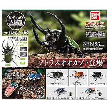 ガシャポン　いきもの大図鑑　かぶとむし 01 全7種　フルコンプ Amazon | バンダイ(BANDAI) いきもの大図鑑 かぶとむし [全7種