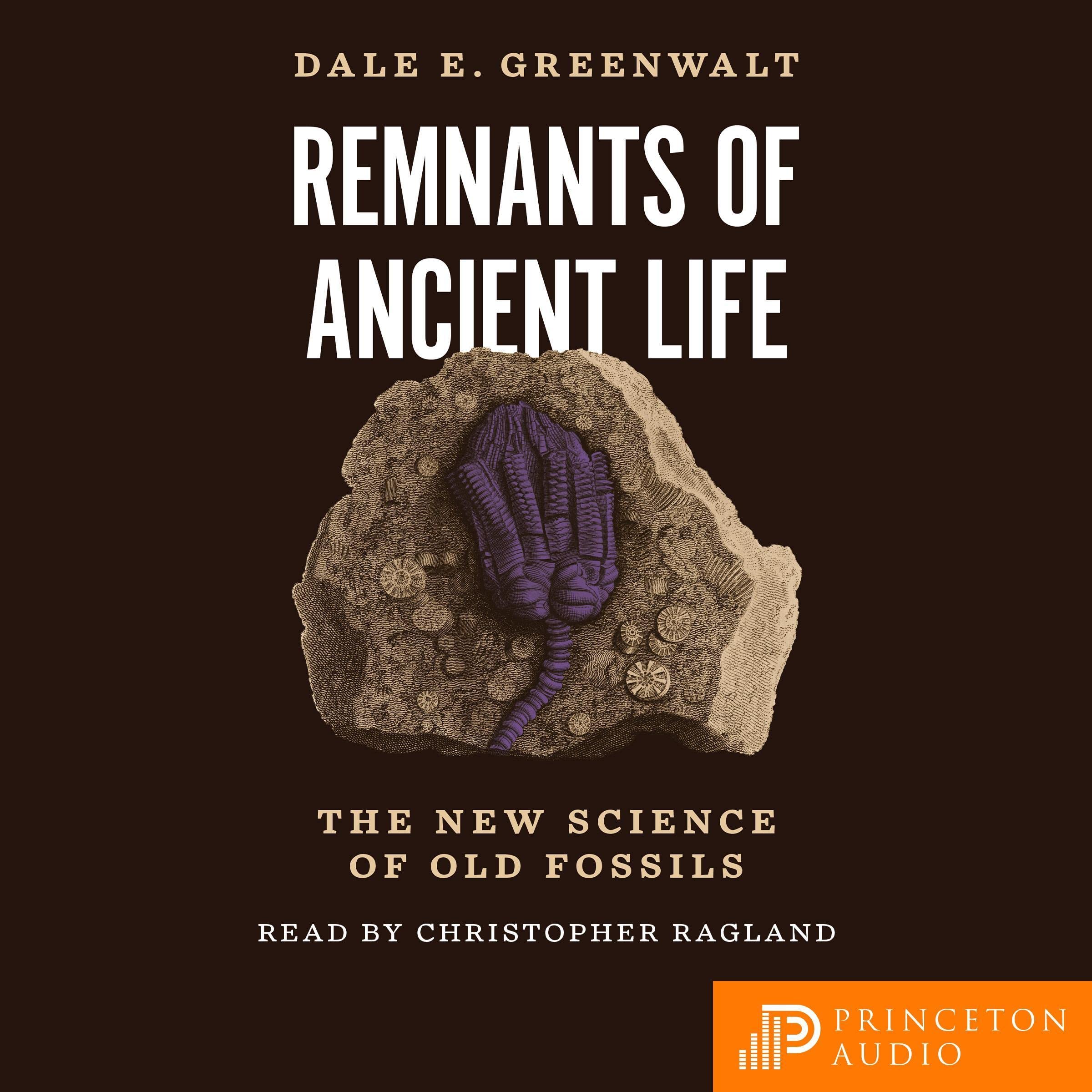 Cover art for Remnants of Ancient Life