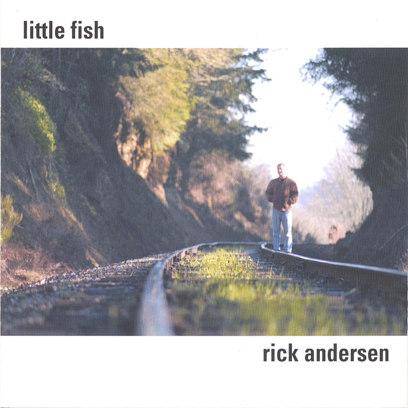 Little Fish