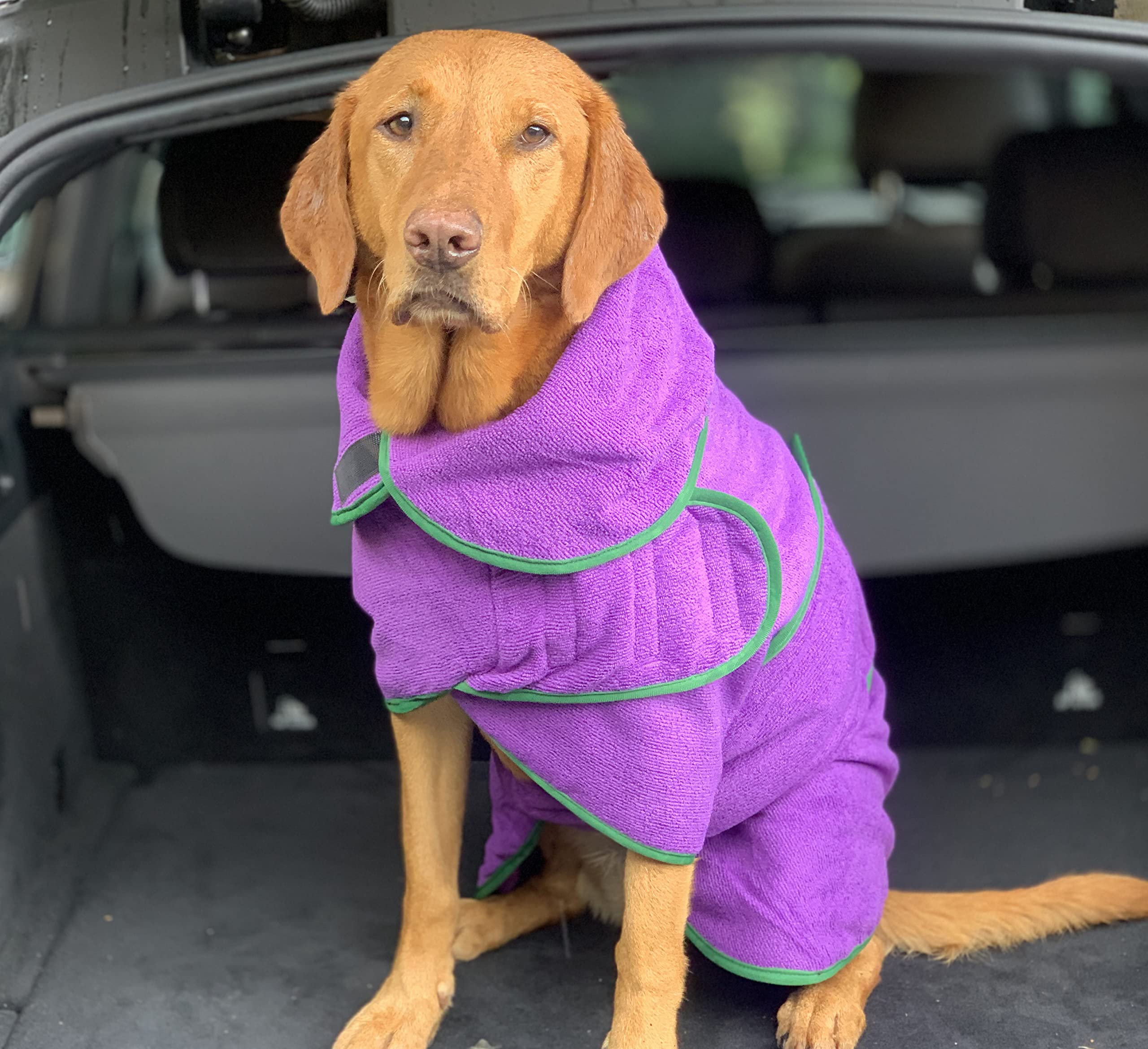 Manteau de séchage super absorbant pour chien, serviette double couche en microfibre, peignoir épais et doux pour chien, robe de chambre réglable pour le bain, la promenade et les voyages