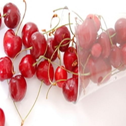 Ditalini Pasta with Black Beans Tomatoes and Cheese - //medicalbooks.filipinodoctors.org