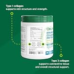 Organika Poudre de Peptides de Collagène Améliorée (Type 1 & 3) – 10g Par Portion pour Cheveux, Peau, Ongles & Articulations – Fabriqué au Canada, Nourri à l'Herbe, Non-OGM, 500g