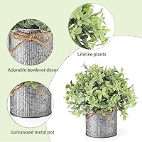 Vista 3 de Mkono Mini plantas falsas y tarro de masón, centro de mesa, decoración rústica de granja, plantas artificiales ligeras en maceta, eucalipto