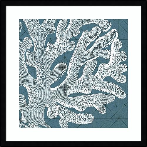 Amanti Art Coastal Menagerie II by Vision Studio Wood Framed Wall Art Print (21 in. W x 21 in. H), Svelte Noir Black Frame