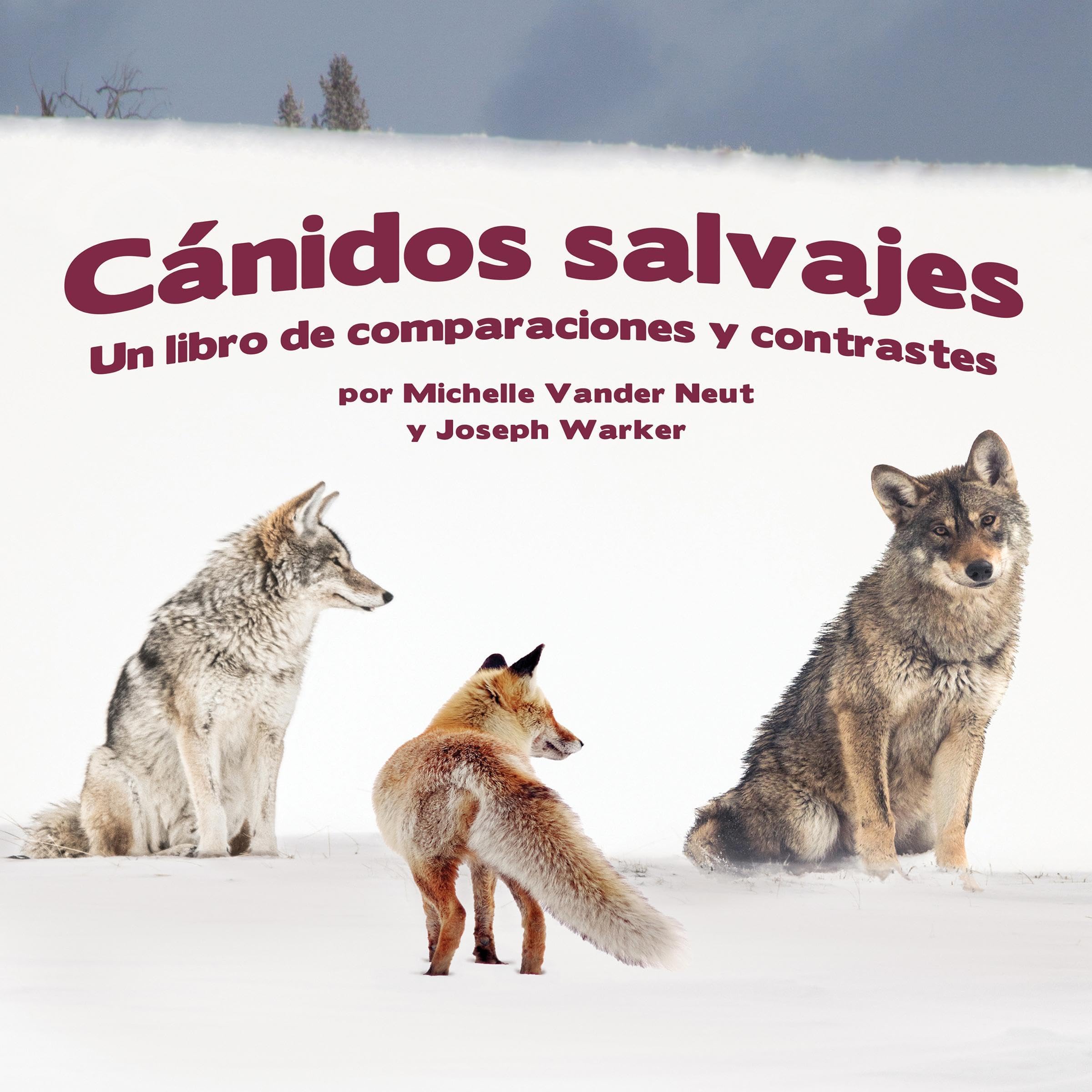 Cánidos Salvajes: Un libro de comparaciones y contraste [Wild Canids: A Book of Comparison and Contrast]