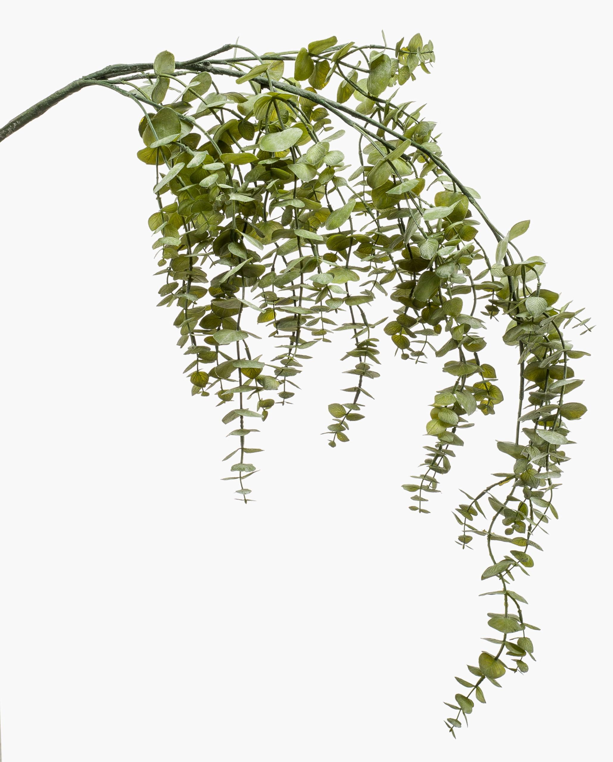 artplants.de Sztuczna gałązka eukaliptusa PINORO, zielona, 120 cm