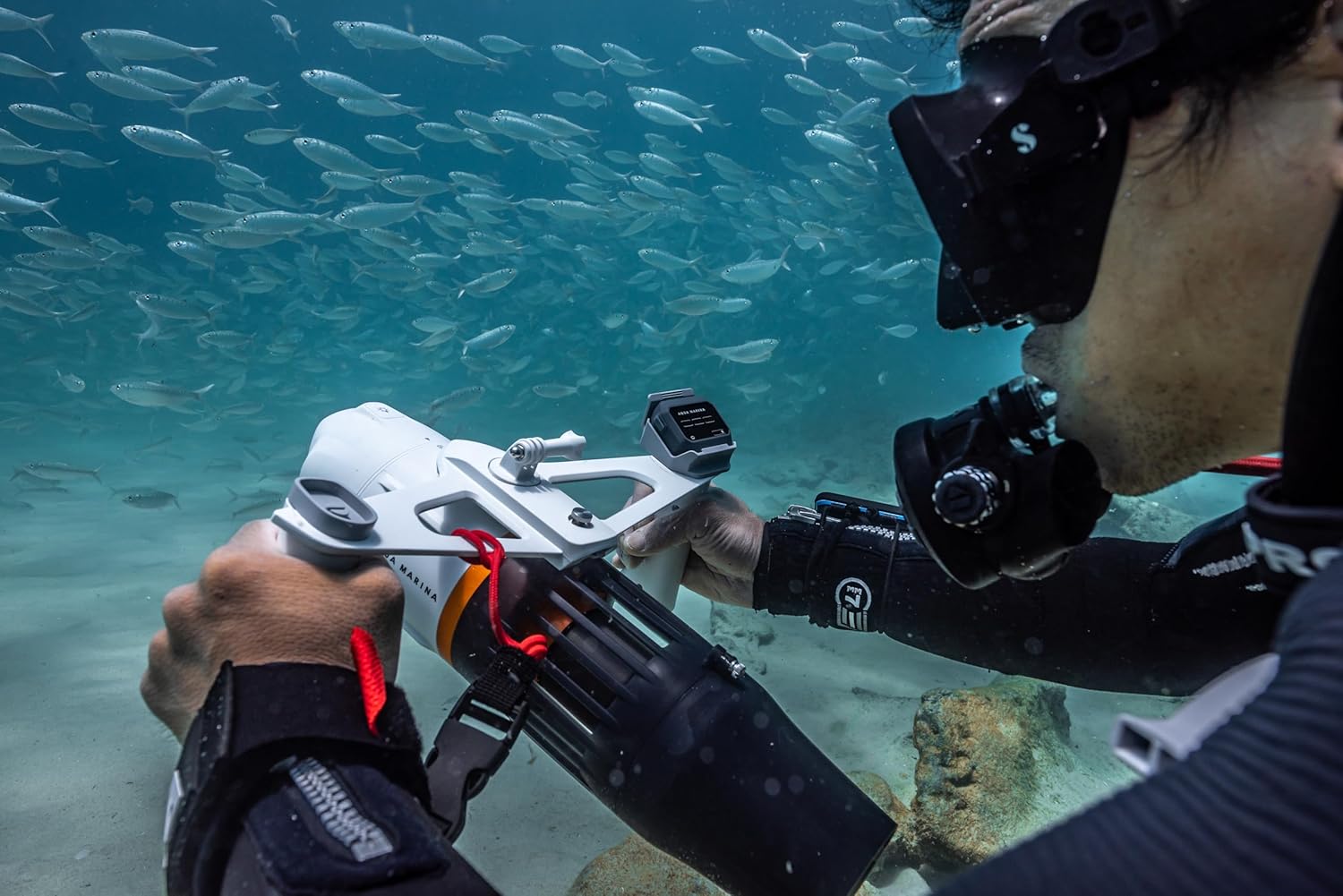 Diver holding the Aqua Marina Bluedrive X Pro underwater, looking at fish