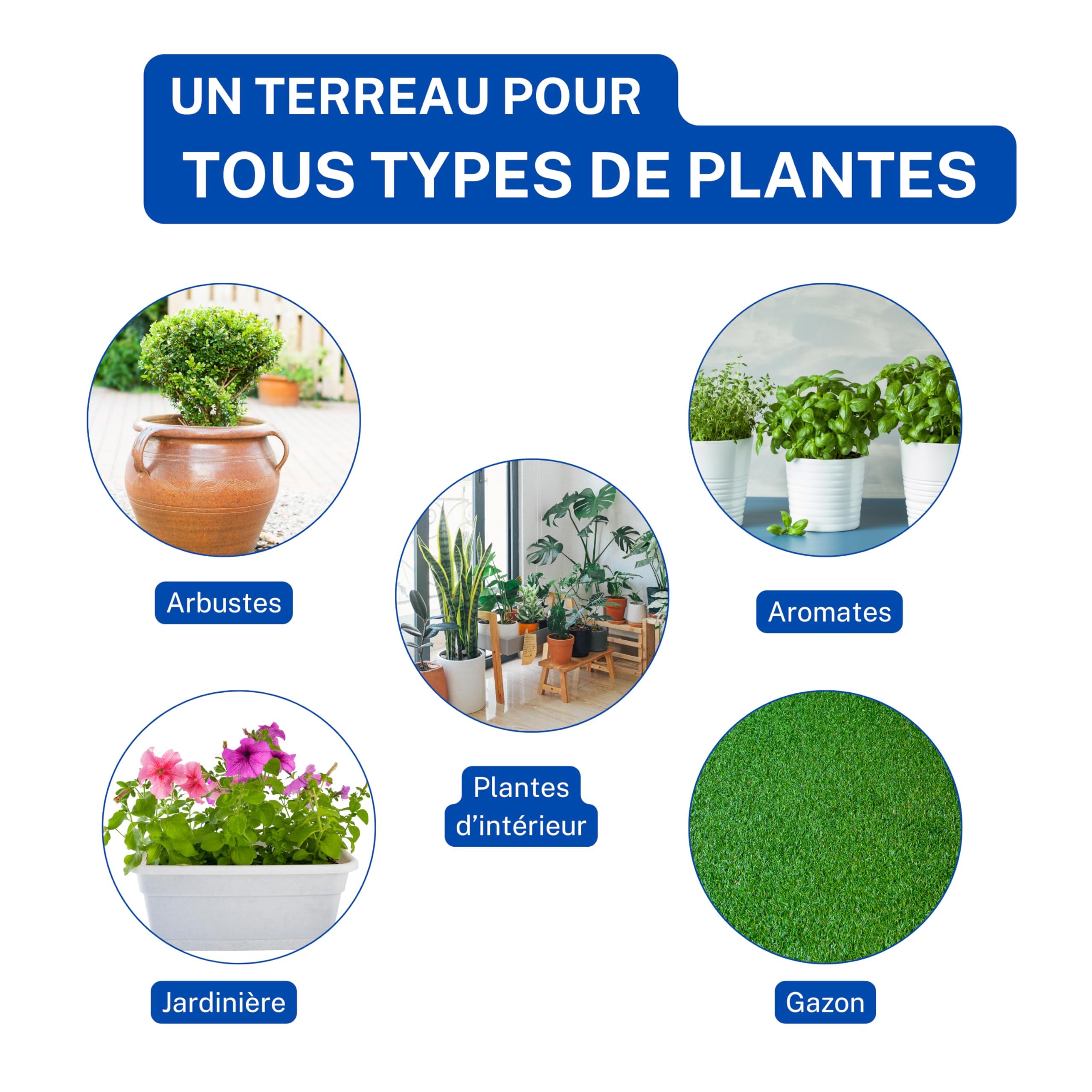 La Plain Chassart Universal-Pflanzerde - Für alle Pflanzen-Sorten im Garten & Indoor - Nährstoffreiche Formel mit Torf - Erde für Zimmerpflanzen, Balkonpflanzen & Outdoor-Pflanzen - 50 Liter
