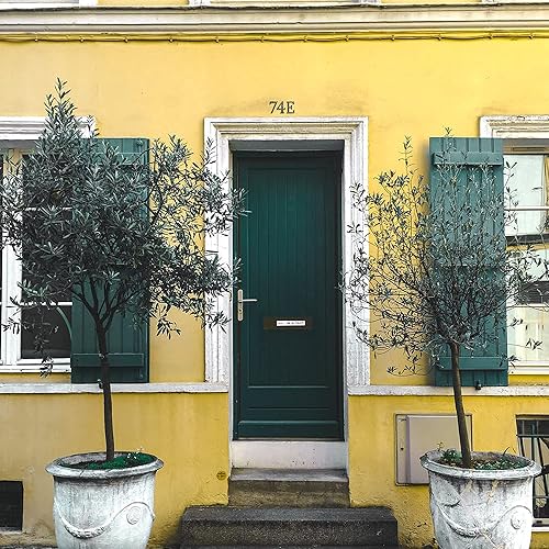 Miniatura 5 de Números de casa de 5.5 pulgadas, dirección de metal de hierro fundido único, número de buzón para puerta exterior o delantera, acabado plateado