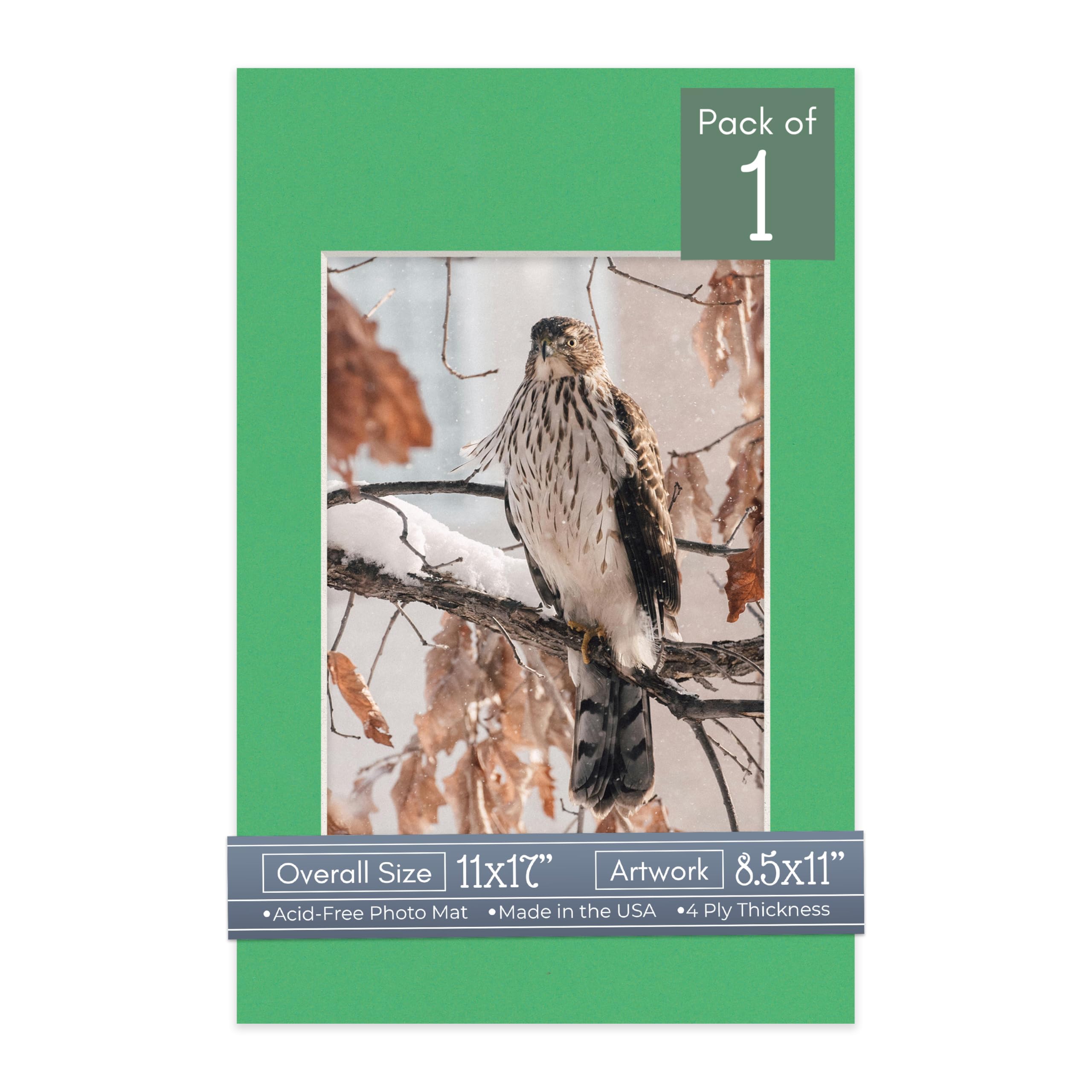 CountryArtHouse Bright Green Acid Free 11x17 Picture Frame Mats with White Core Bevel Cut for 8.5x11 Pictures - Fits 11x17 Frame - One Mat-picture-21