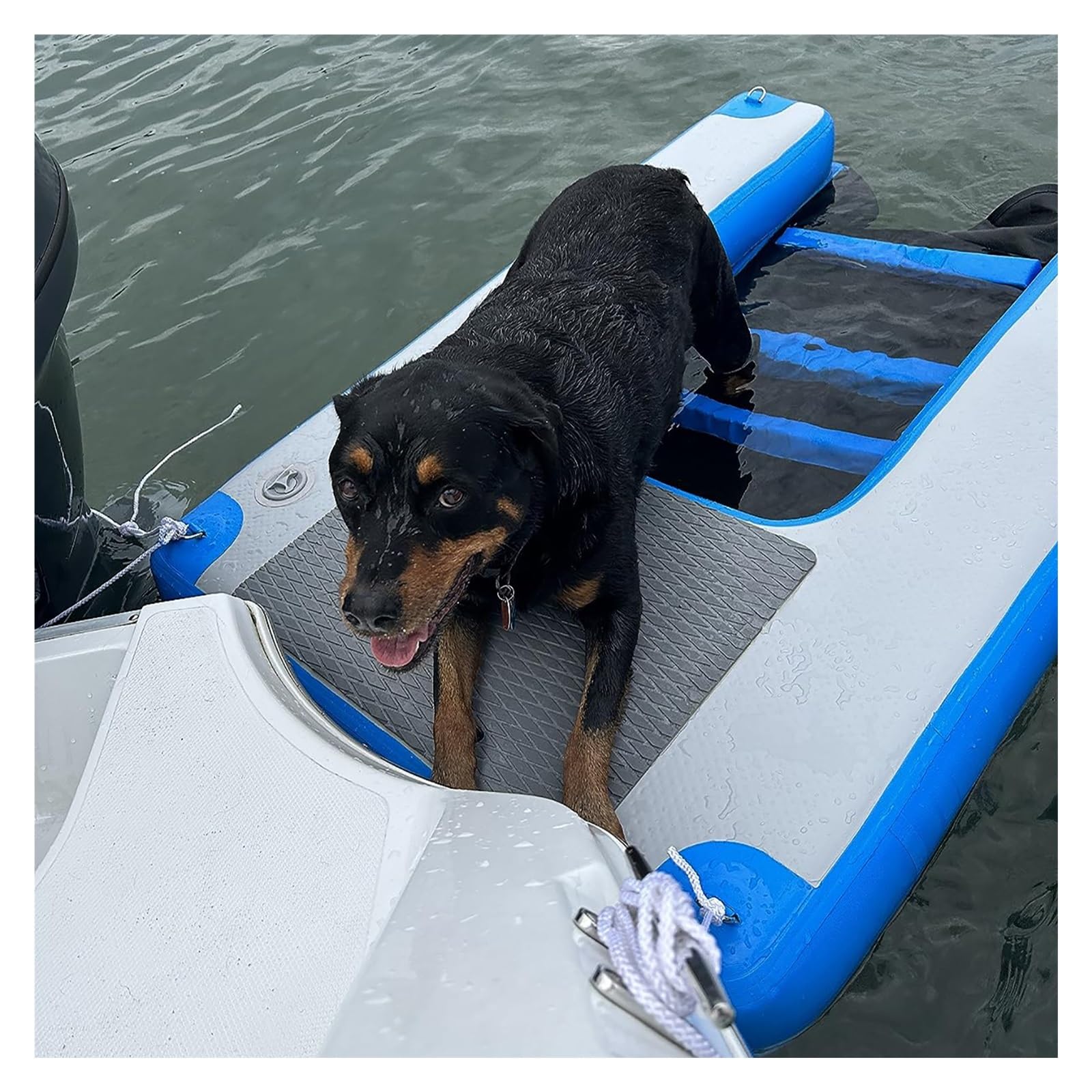 Extra Large Inflatable Dog Water Ramp For Pools, Boats, Or Docks, Heavy Duty Dogs Floating Platform, Non-Slip EVA Dog Climbing Ladder On Waters(Blue)