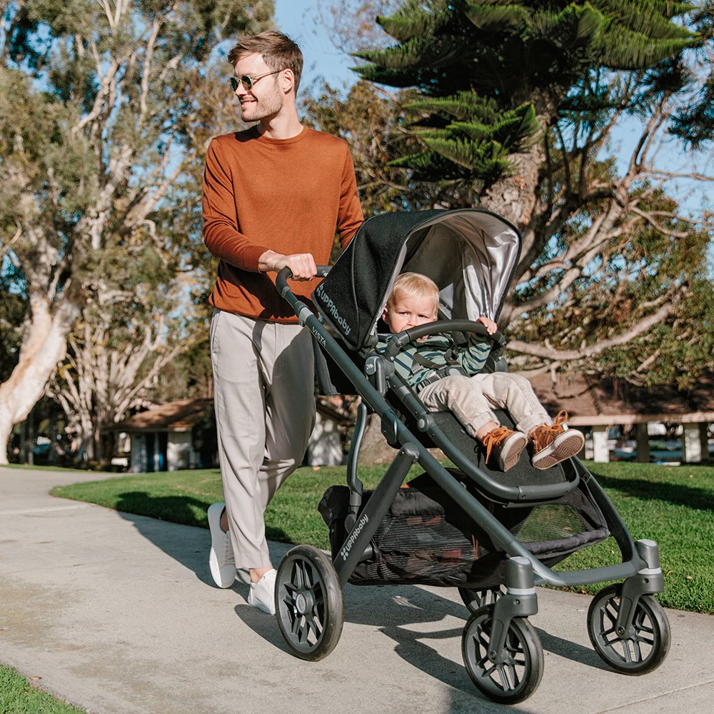 2018 UPPAbaby VISTA Stroller, Taylor (Indigo/Silver/Saddle Leather)