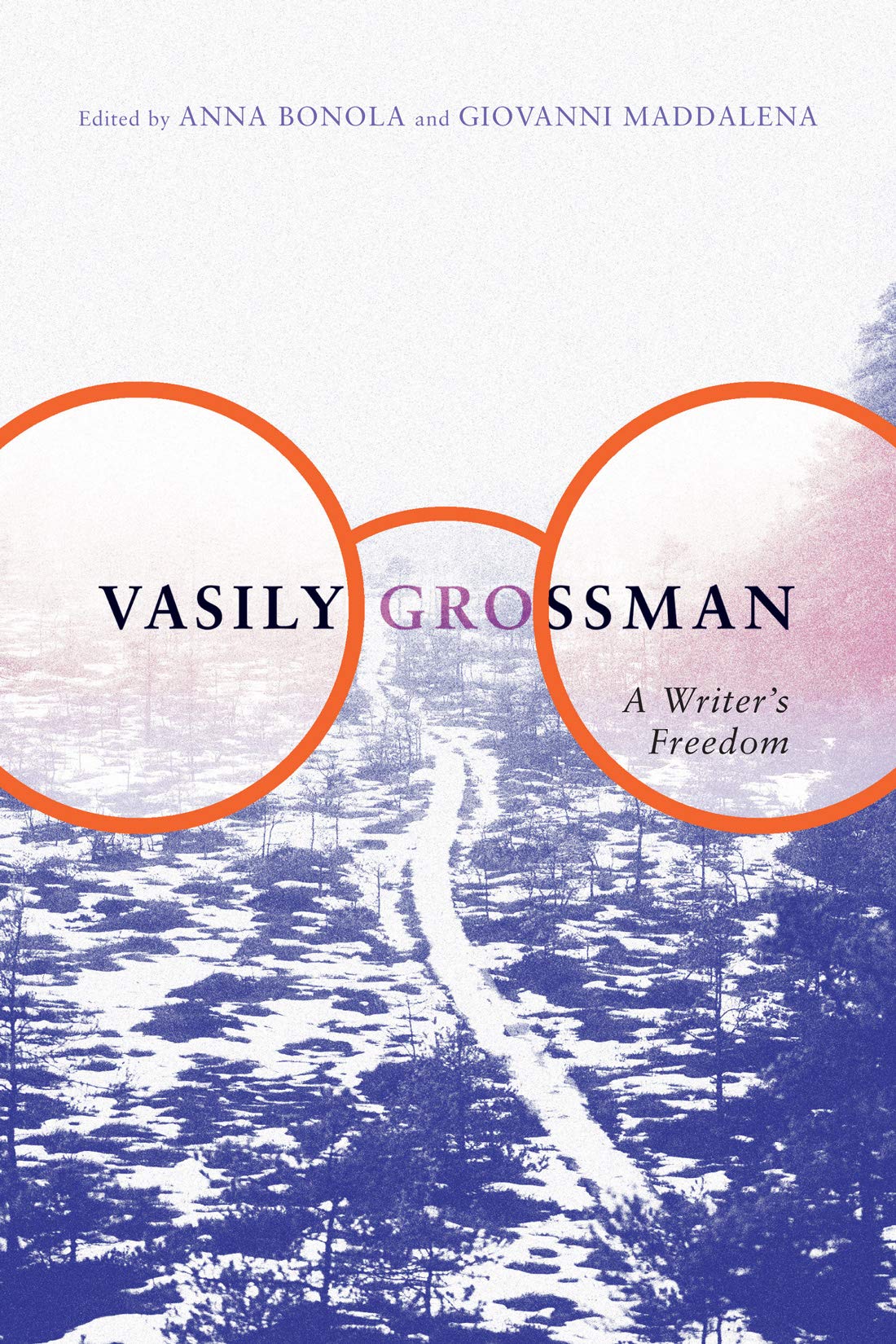 Buy Vasily Grossman: A Writer's Freedom — BookShops.in