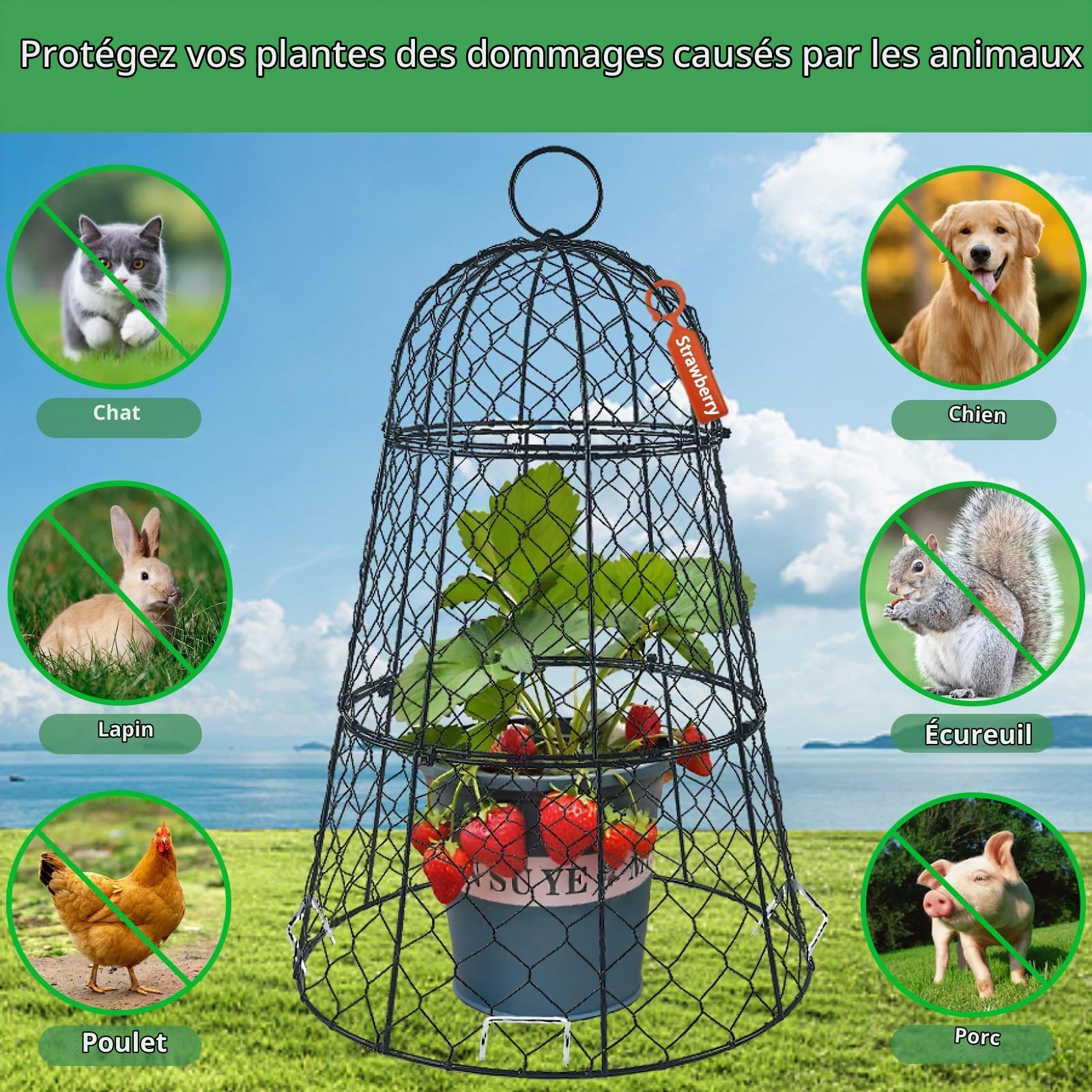 Lot de 6 housses de protection en fil de fer pour plantes, 45 cm x 29 cm, antirouille et robuste, avec piquets et étiquettes, cloches de jardin modulaires pour semis, fleurs, légumes, protéger des