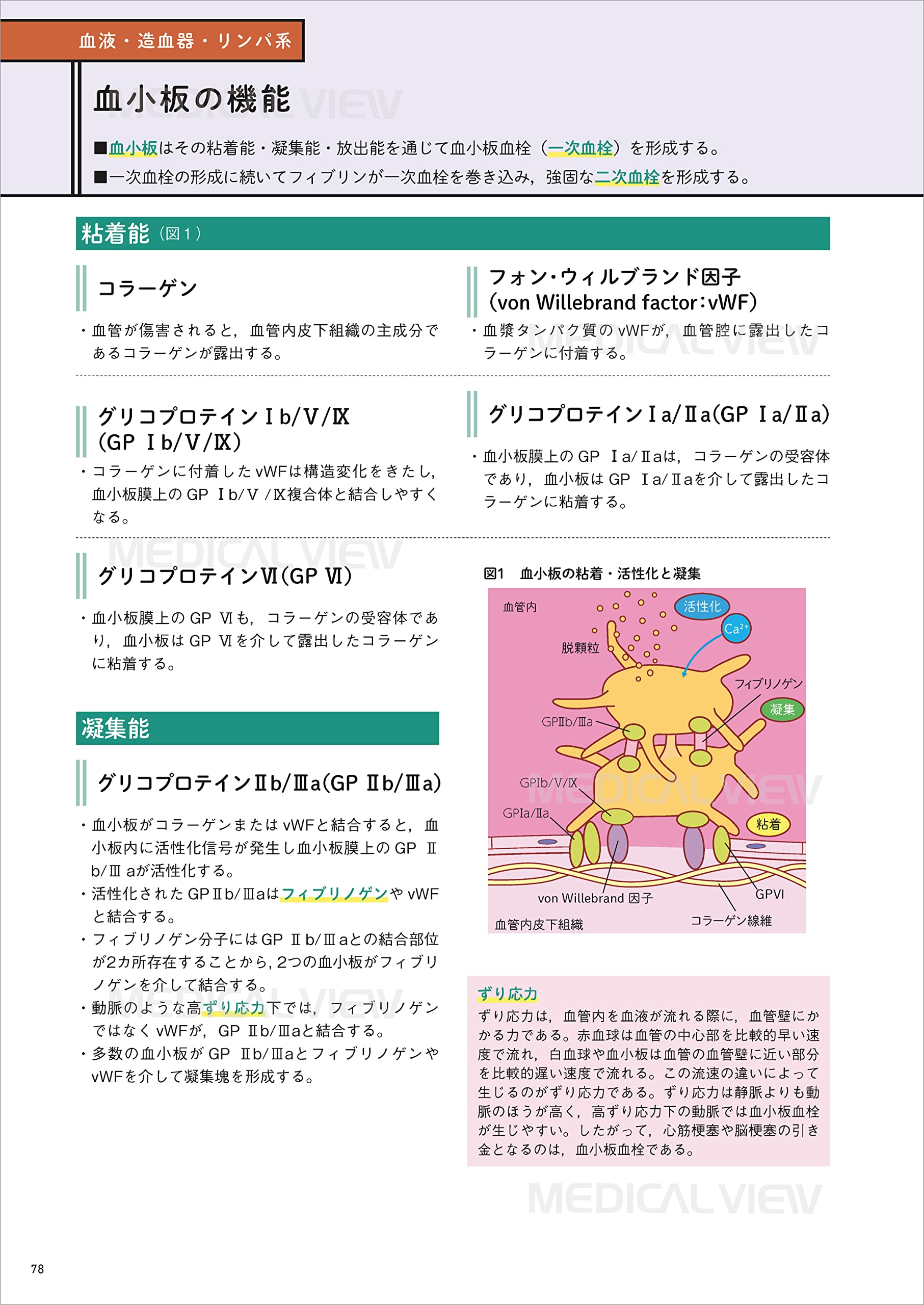 生理学 第3版 カラーイラストで学ぶ 集中講義 Noygtrprkg 基礎医学 Mowjdanesh Ir