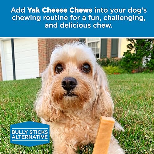 Miniatura 6 de Best Bully Sticks Queso de yak del Himalaya para perros, tamaño XL, 4 unidades (paquete de 1), natural, sin lactosa, sin olor, aperitivo de larga