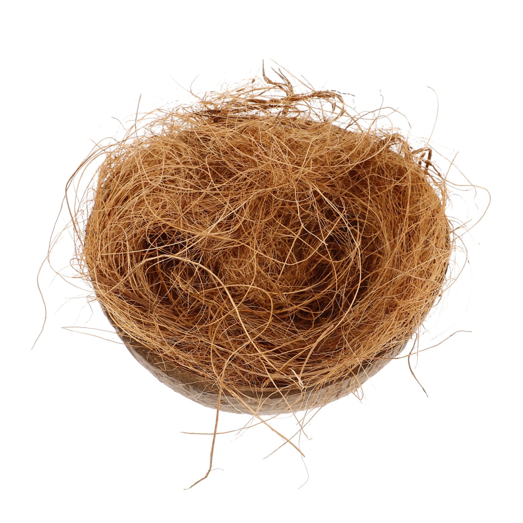 ibasenice 5 Pezzi Pappagalli Cocco Naturale Casa per Uccelli Resistente e Decorativa per Allevamento per Cocorite e Parrocchetti per Allenare Abilità Nidificazione e Creare Un Stimolante per