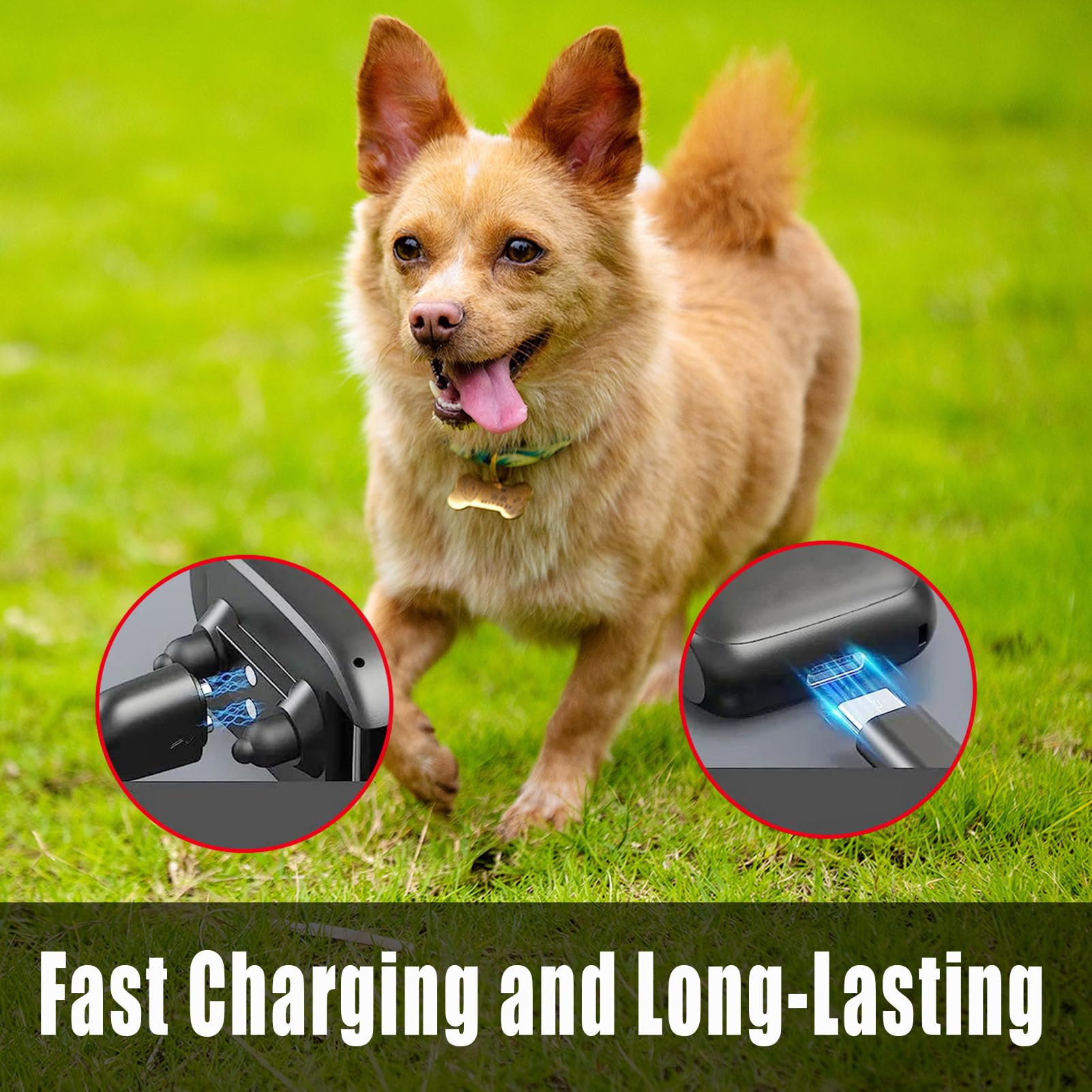 2 Stück Ladekabel Für Delupet/Yawpet Hundehalsband – 2-in-1 Magnetisches Kabel Für Halsband & Fernbedienung