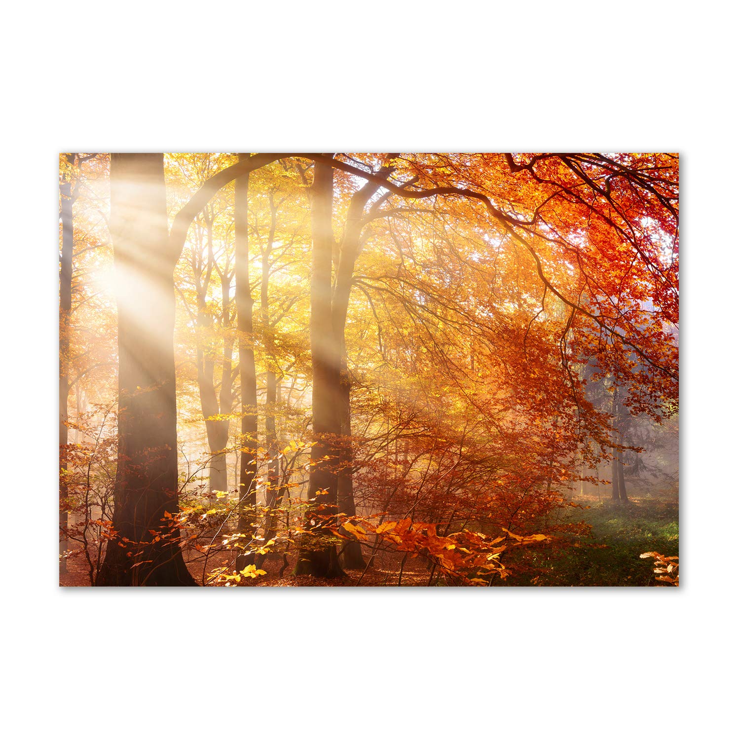 Déco murale cuisine et salon avec ce tableau acrylique forêt d'automne