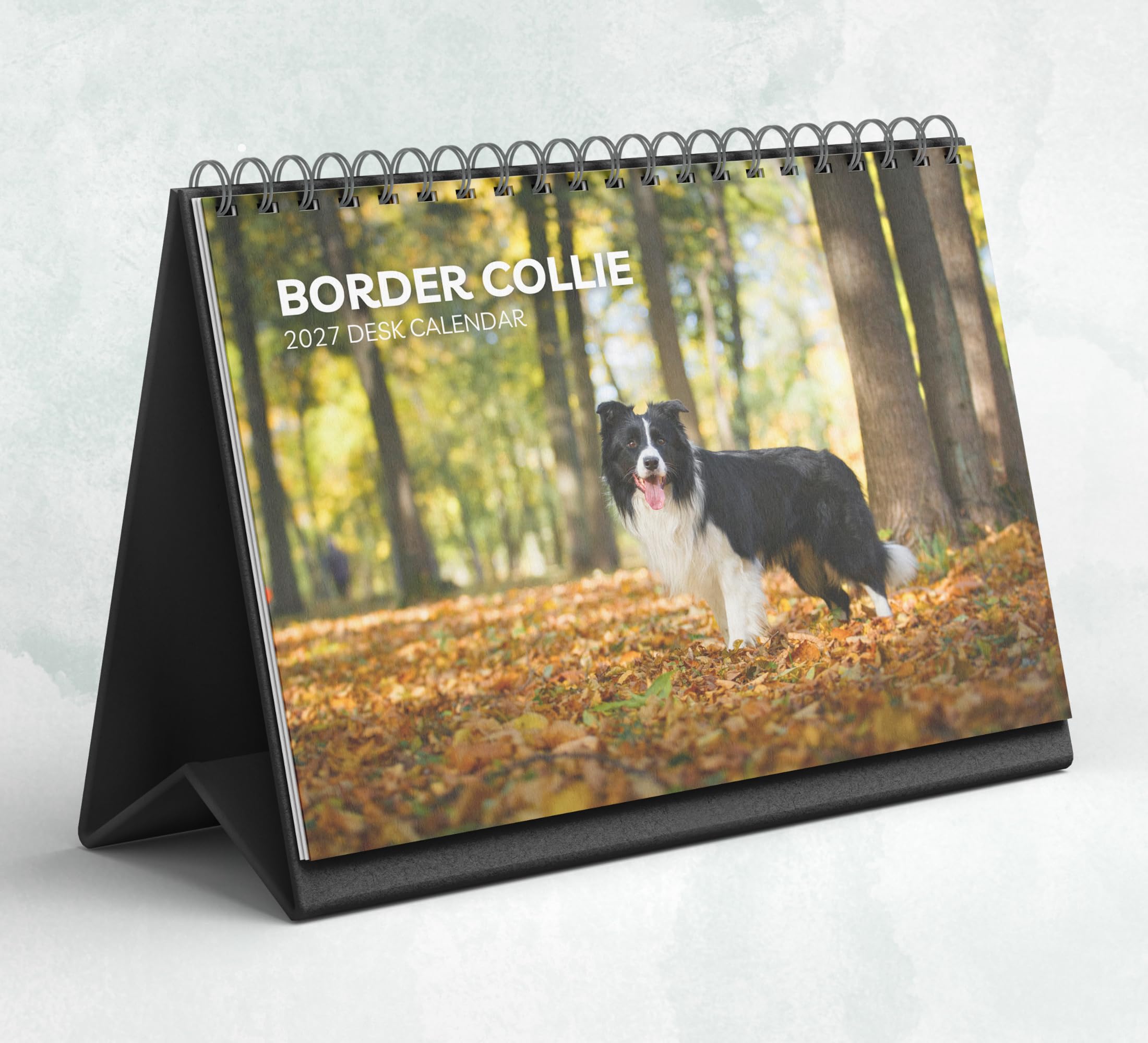 Border Collie Desk Calendar 2027-2028: Standing Flip Desktop Calendar with Thick Paper (15.25cm x 22cm - similar to A5)