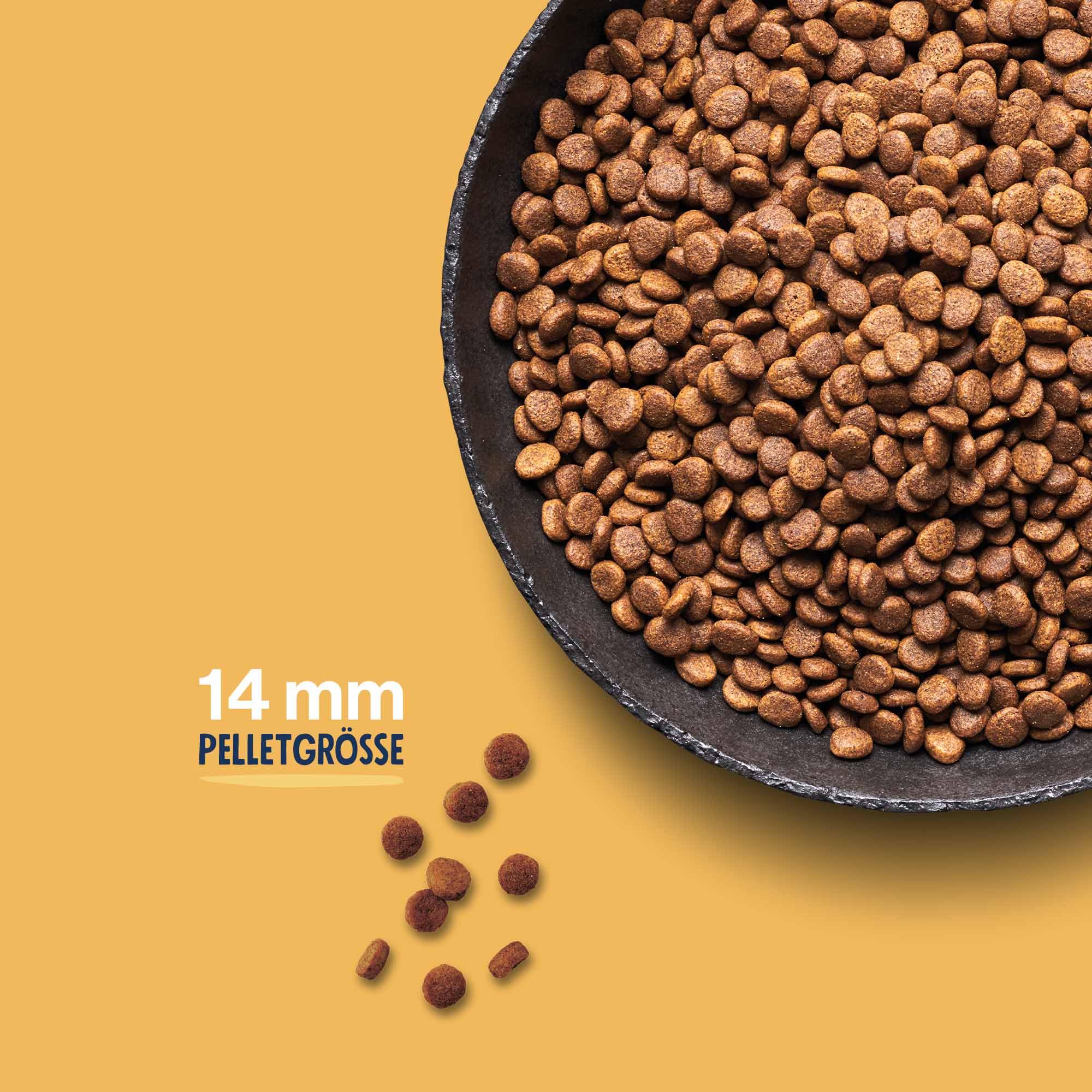Pets Deli Trockenfutter Für Hunde – Lamm Mit Süßkartoffel & Minze, 6 Kg – Ohne Zucker, Gluten, Künstliche Zusätze – Hochwertige Tiernahrung