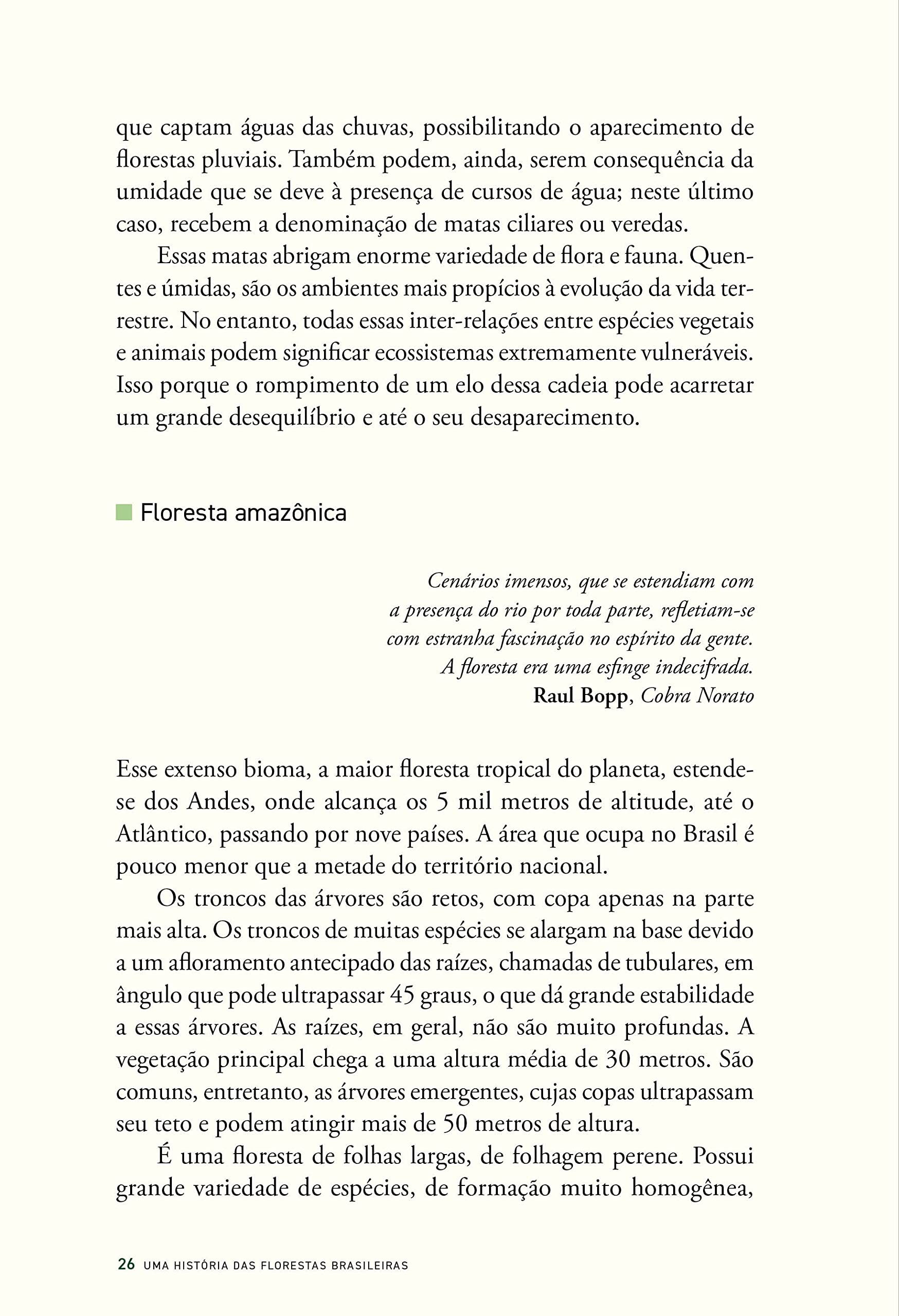 História das florestas brasileiras