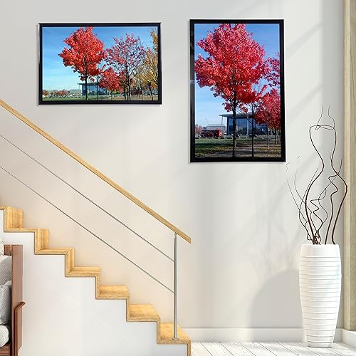 Vista 14 de Medog Marco de póster de 24 x 36 pulgadas, color negro, paquete de 2 marcos para fotos de 24 x 36 pulgadas, marco de galería de estudio, marco de 2P