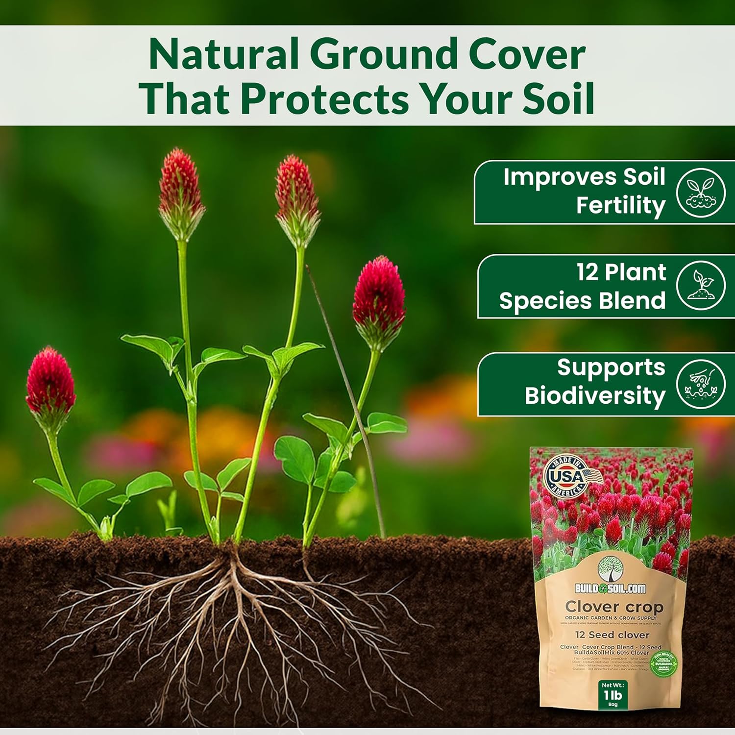 BuildASoil No-Till 60% Clover Seed Mix – 12 Species Cover Crop Seed Blend | No Mow Ground Cover Seeds for Lawn, Garden & Raised Beds | White Red Micro Clover Seeds for Lawn (3 lbs)