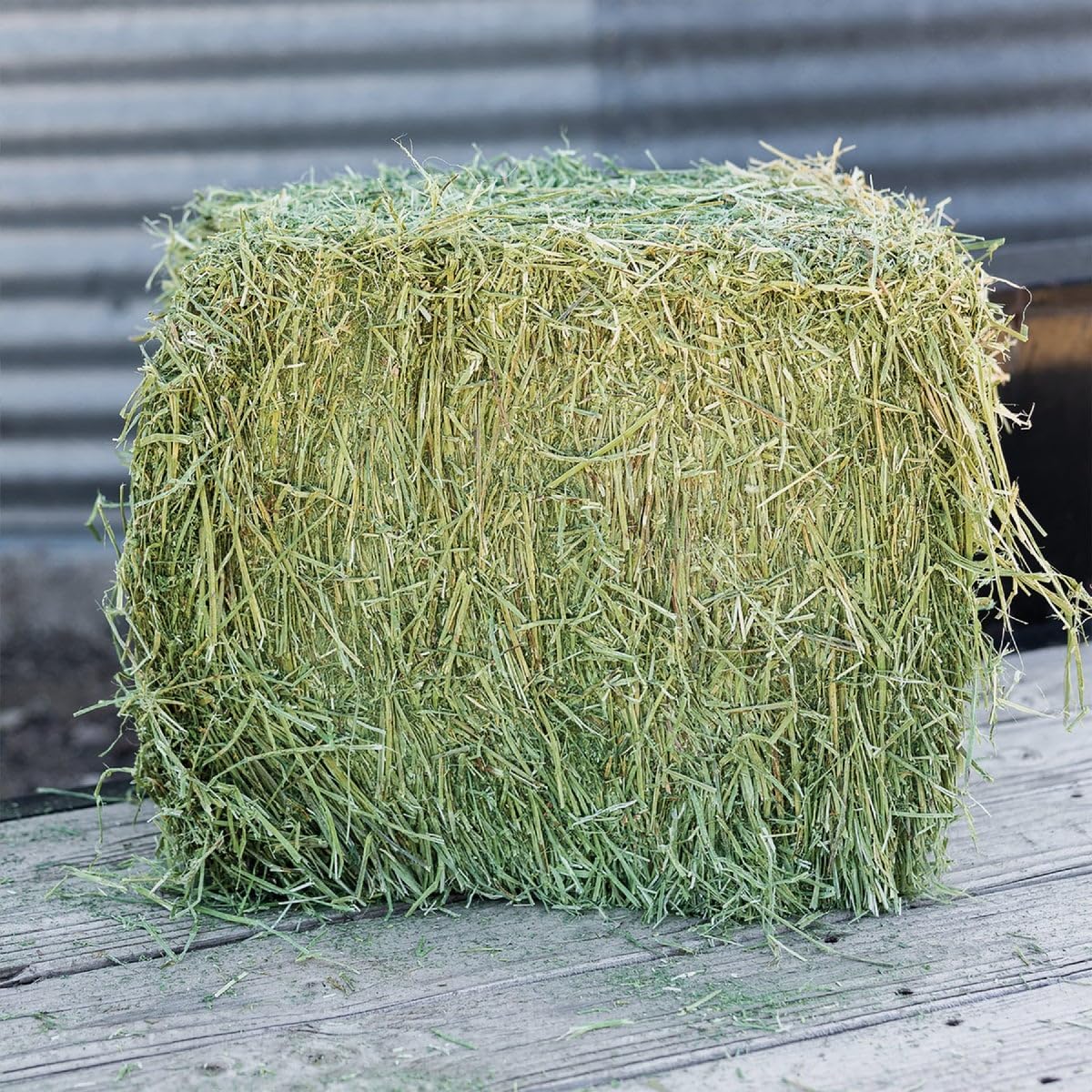 STANDLEE HAY Company 1100-20010-0-0 Alfalfa Bale, 50 lb