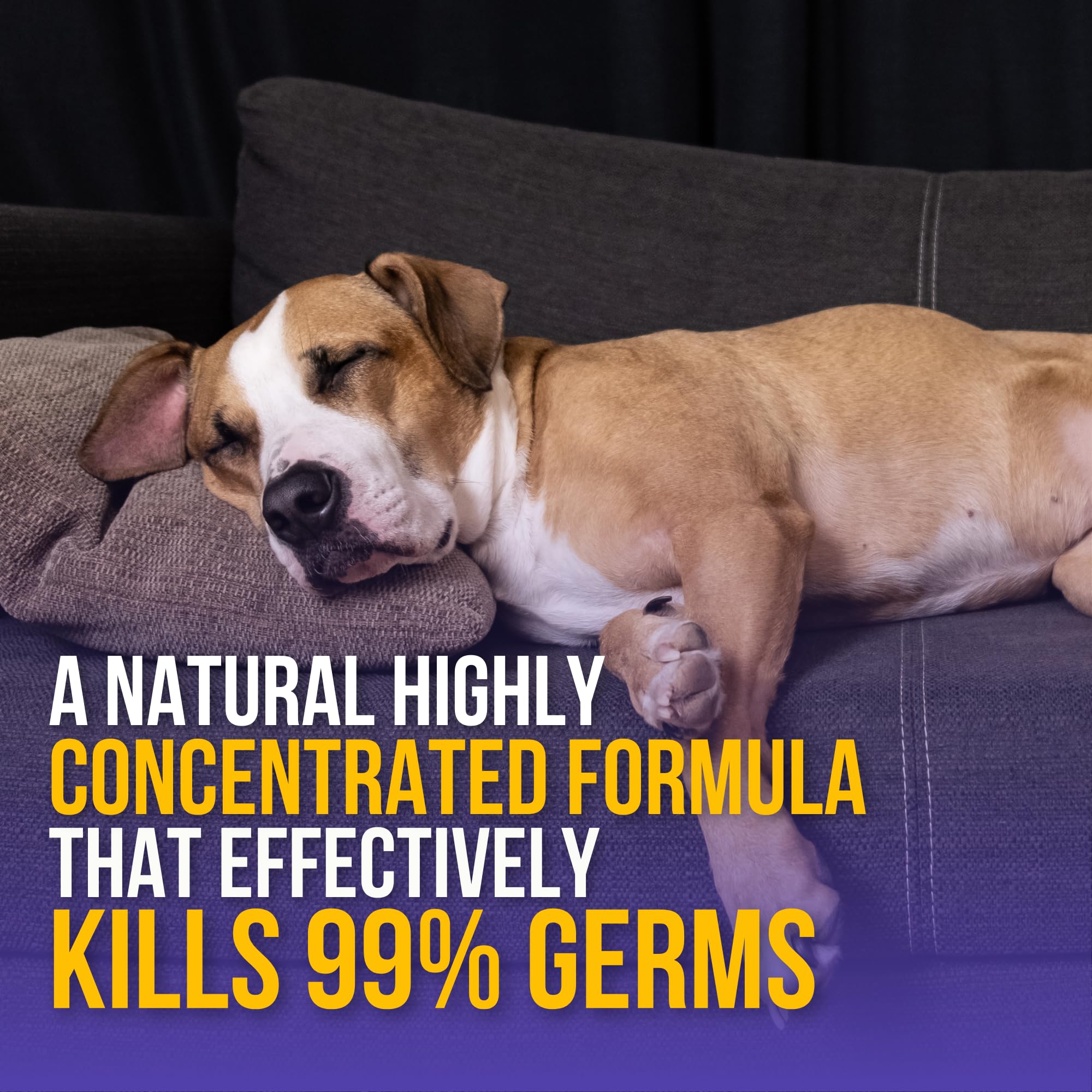 PUPCIDE All Purpose Kennel Wash Blueberry | Allergen Free Fragrance | Unique Formulation for Tough Stains & Odours on Beds or Accessories | Kills 99.9% Bacteria 500 ml 3