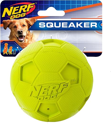 dog kick ball