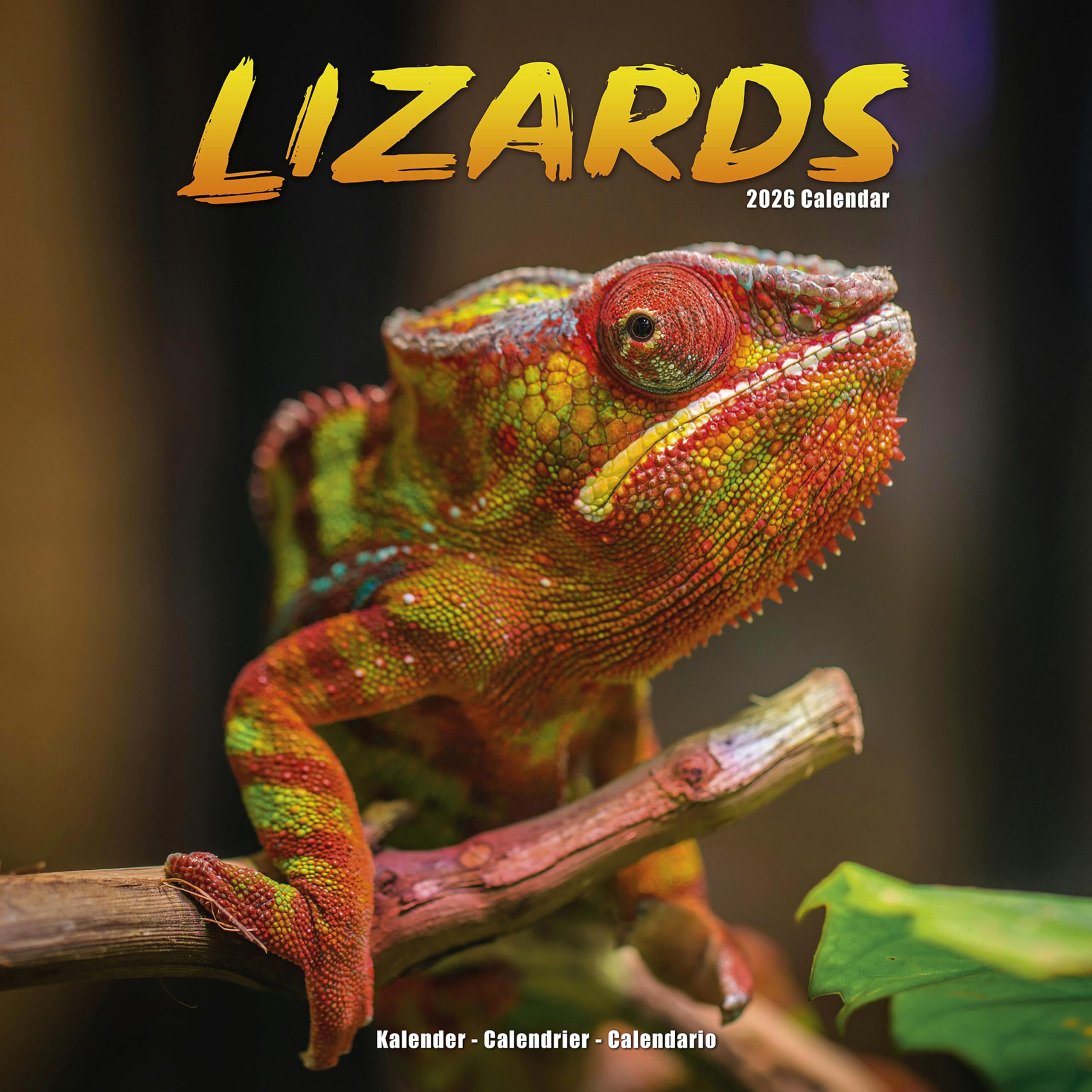 Lizards Calendar 2026, Wall Calendars, Month To View, Animals, Gift